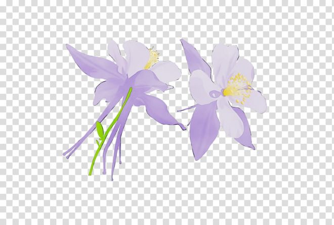 blue iris weather overlay download